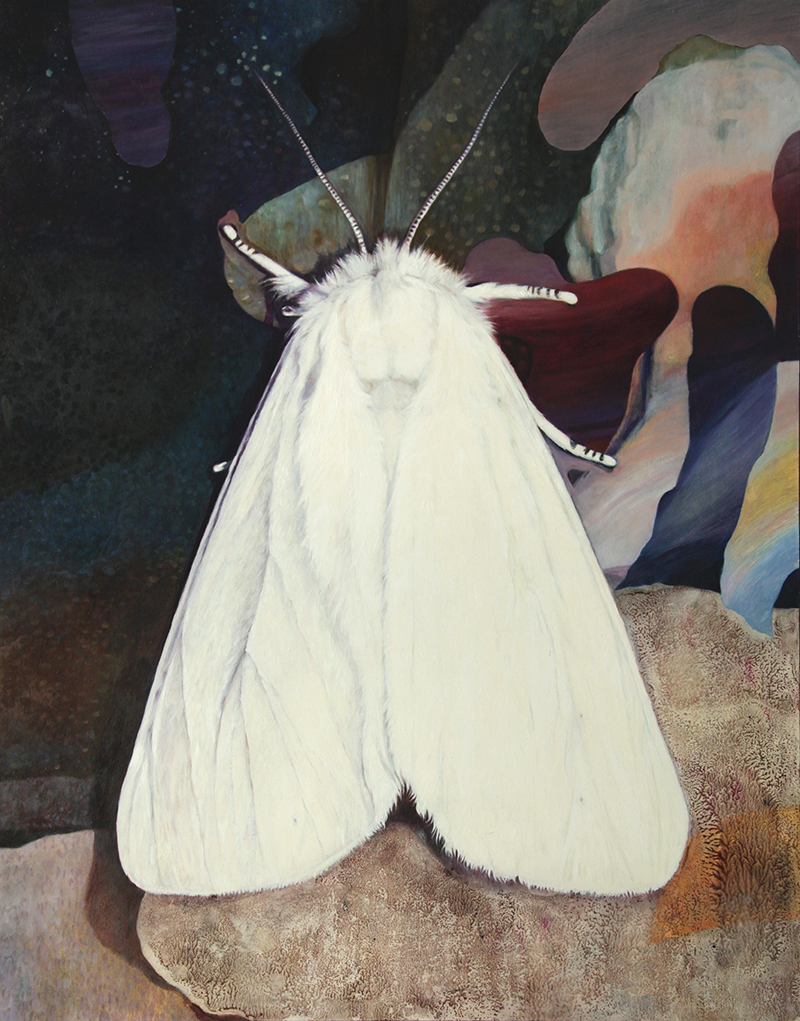 oil painting of a white ermine butterfly